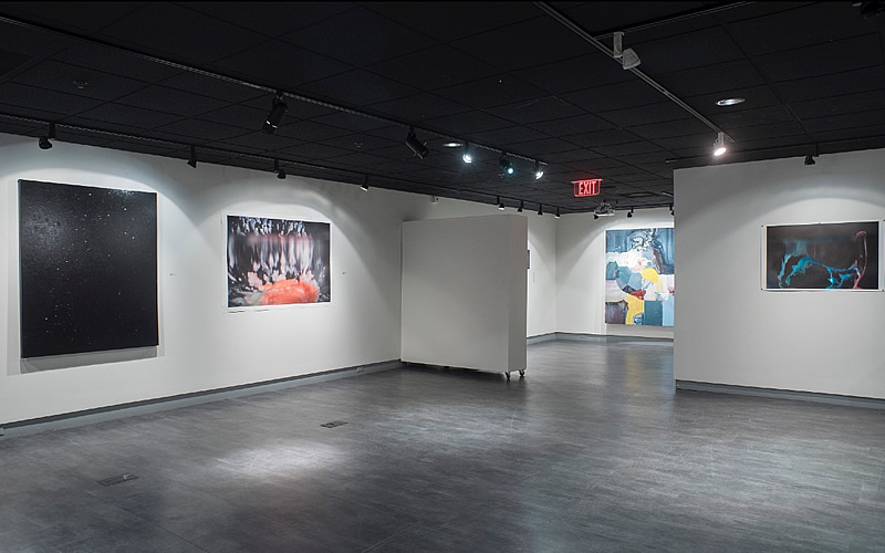 Any World I'm Welcome To, Installation view, Joan Fitzsimmons