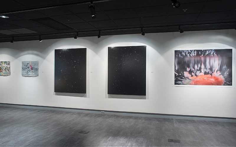 Any World I'm Welcome To, Installation view, Joan Fitzsimmons